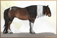 Horse Color:Liver Chestnut Tobiano 