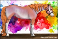 Horse Color:Watercolor Liver Red Onyx Sabino Rabicano 