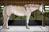 Horse Color:Plaid  Liver Red Dun Sabino 