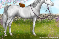 Horse Color:Gray White Spotted Brown Dun Mushroom