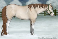 Horse Color:White Spotted Liver Red Dun Pearl Sabino 