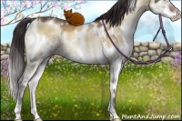 Horse Color:White Spotted Buckskin Ice Onyx Splash 
