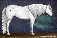 Horse Color:Silver Buckskin Roan Splash Tobiano 