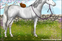 Horse Color:Gray White Spotted Liver Red Dun Pearl Mushroom Rabicano 