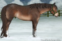 Horse Color:White Spotted Liver Chestnut Sabino 
