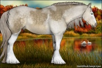 Horse Color:White Spotted Chocolate Palomino Roan Dun Rabicano 