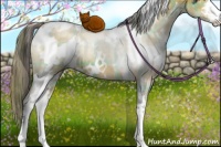 Horse Color:Plaid White Spotted Brown Dun Sabino Rabicano