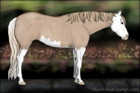 Horse Color:Red Dun Roan Splash 