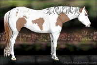 Horse Color:Red Roan Splash Tobiano