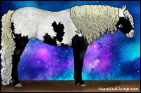 Horse Color:Plaid  White Spotted Chocolate Palomino Ice Pearl Dun Sabino Splash Rabicano 