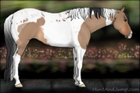 Horse Color:Bay Roan Dun Tobiano