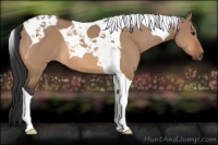 Horse Color:Bay Dun Tobiano 