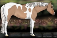 Horse Color:Silver Brown Roan Dun Tobiano