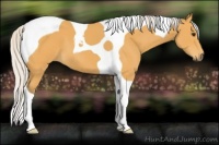 Horse Color:Silver Buckskin Tobiano