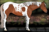 Horse Color:Silver Bay Tobiano 