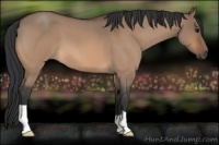 Horse Color:Bay Roan Dun 