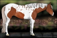 Horse Color:Silver Bay Tobiano 