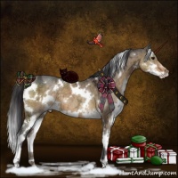 Horse Color:White Spotted Buckskin Ice Dun Sabino Brindle 