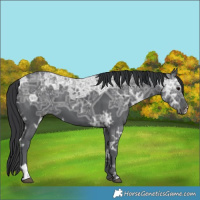 Horse Color:Black Ice 