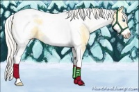 Horse Color:White Spotted Silver Amber Cream Champagne Dun Splash Tobiano Frame Rabicano 