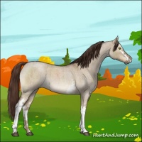 Horse Color:White Spotted Liver Red Dun Roan Brindle 