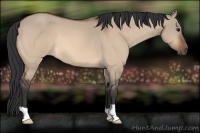 Horse Color:Brown Roan Dun
