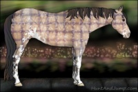 Horse Color:Plaid  Bay Ice Sabino 