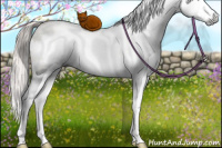Horse Color:Gray White Spotted Chocolate Palomino Ice Pearl Dun Mushroom Splash Rabicano