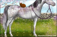 Horse Color:Plaid White Spotted Brown Ice Dun