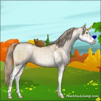 Horse Color:Liver Red Dun Pearl Sabino Splash Brindle 