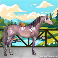 Horse Color:Painted White Spotted Brown Dun Rabicano 