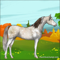Horse Color:Gray White Spotted Liver Red Dun Ice Pearl Splash 