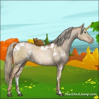 Horse Color:White Spotted Liver Red Dun Pearl Mushroom Brindle 