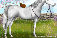 Horse Color:Gray White Spotted Silver Grullo Splash Brindle 