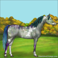 Horse Color:Painted Plaid  White Spotted Brown Dun Mushroom Sabino Rabicano Brindle 