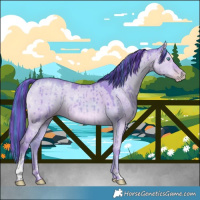 Horse Color:Painted Watercolor Classic Champagne Dun Sabino Brindle 