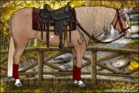 Horse Color:Chestnut Splash Frame Appaloosa 