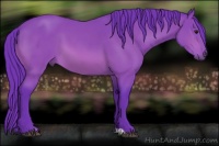 Horse Color:Watercolor Bay Sabino