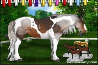 Horse Color:Silver Buckskin Tobiano 