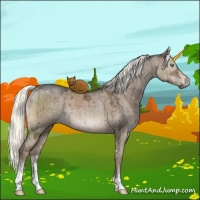 Horse Color:Liver Red Dun Ice Mushroom Sabino Brindle