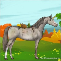 Horse Color:Liver Red Dun Mushroom Brindle 