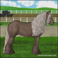 Horse Color:Silver Black 