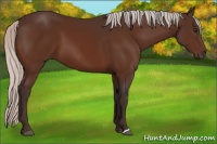 Horse Color:Silver Brown 