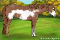 Horse Color:Chestnut Frame 