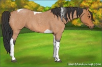 Horse Color:Bay Roan Tobiano