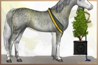 Horse Color:White Spotted Silver Black Chinchilla 