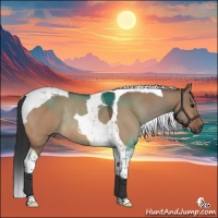 Horse Color:Bay Dun Tobiano Rabicano 