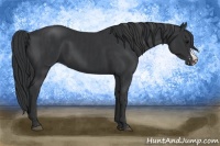 Horse Color:Black Frame  and Black Frame 