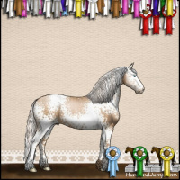 Horse Color:White Spotted Silver Buckskin Pearl 