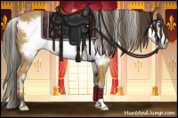 Horse Color:White Spotted Buckskin Frame